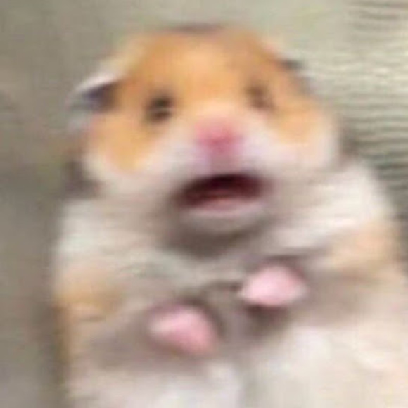 Meet your Posher, Olivia - Picture 1 of 1